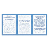 St. Carlo Acutis Chaplet w/ Prayers