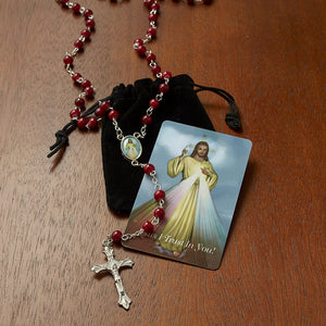 Divine Mercy Rosary with Case